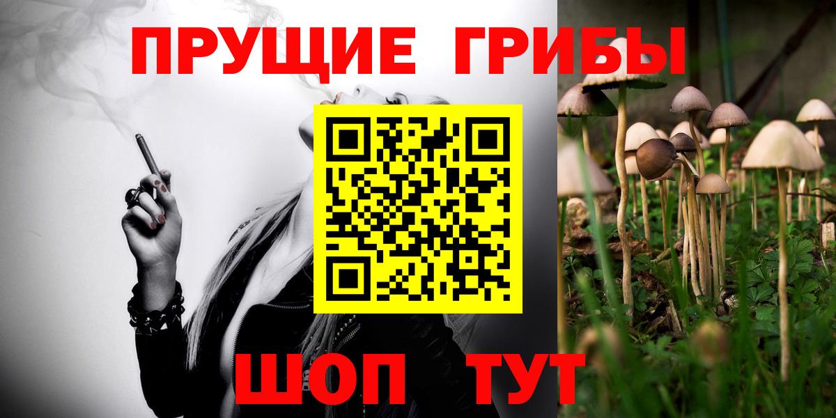 Полевской  Галлюциногенные грибы GOLDEN TEACHER  Псилоцибиновые грибы GOLDEN TEACHER  Вход с VPN 